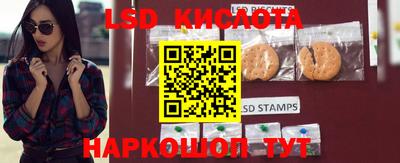 индика Будённовск