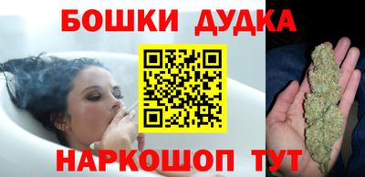 индика Будённовск