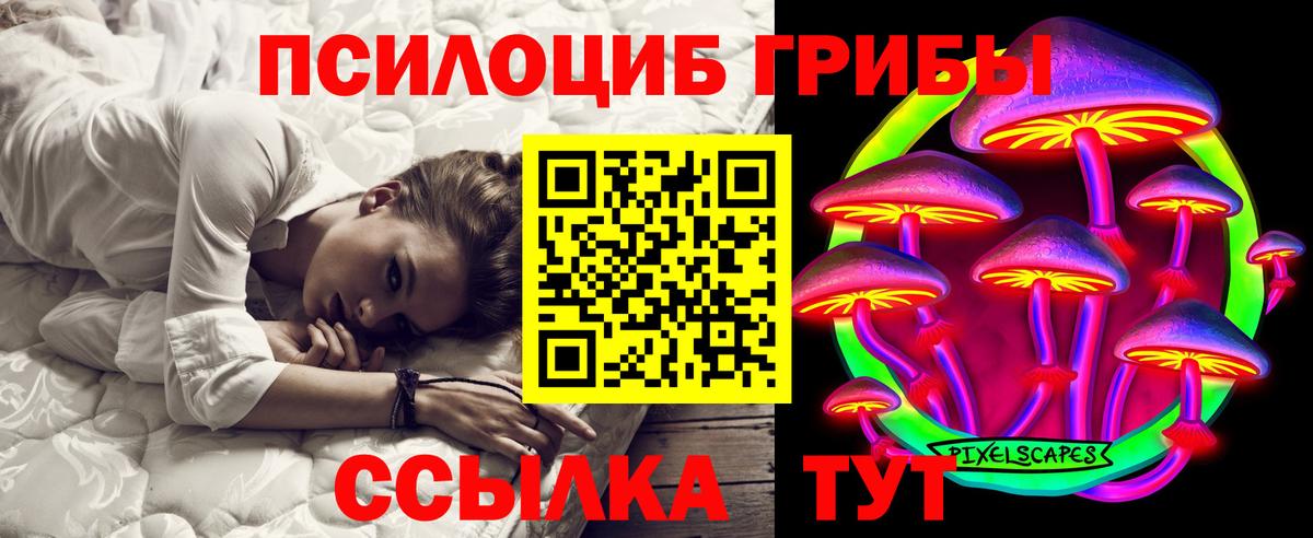 Галлюциногенные грибы прущие грибы Строитель